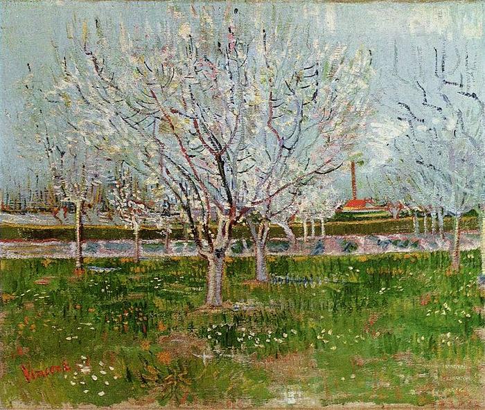Vincent Van Gogh Bluhender Obstgarten oil painting picture